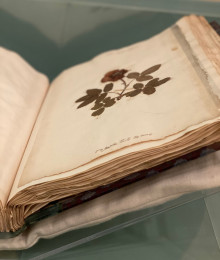 Une heure, une œuvre - l'herbier de George Sand - festival Chapitre Nature - Argenton-sur-Creuse