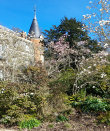 Le printemps vous attend à la maison de Chateaubriand
